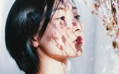 绿巨人忘忧草丝瓜秋葵黄